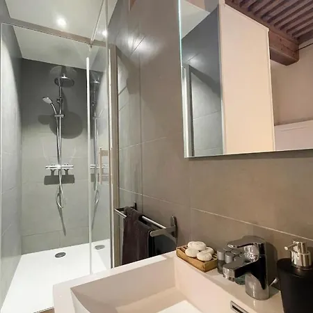 게스트하우스 Coeur Vieux Lyon, 60 M2 Lumineux Confort 리옹