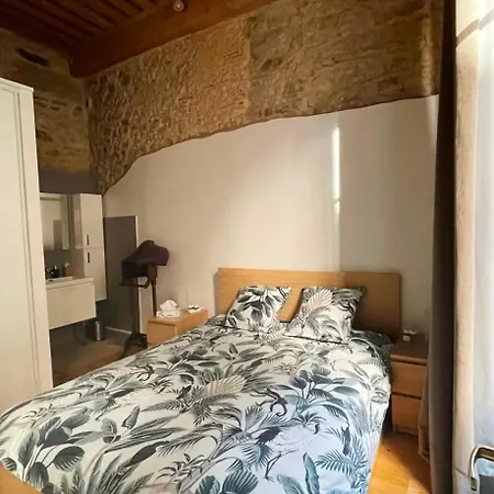 Coeur Vieux Lyon, 60 M2 Lumineux Confort 게스트하우스